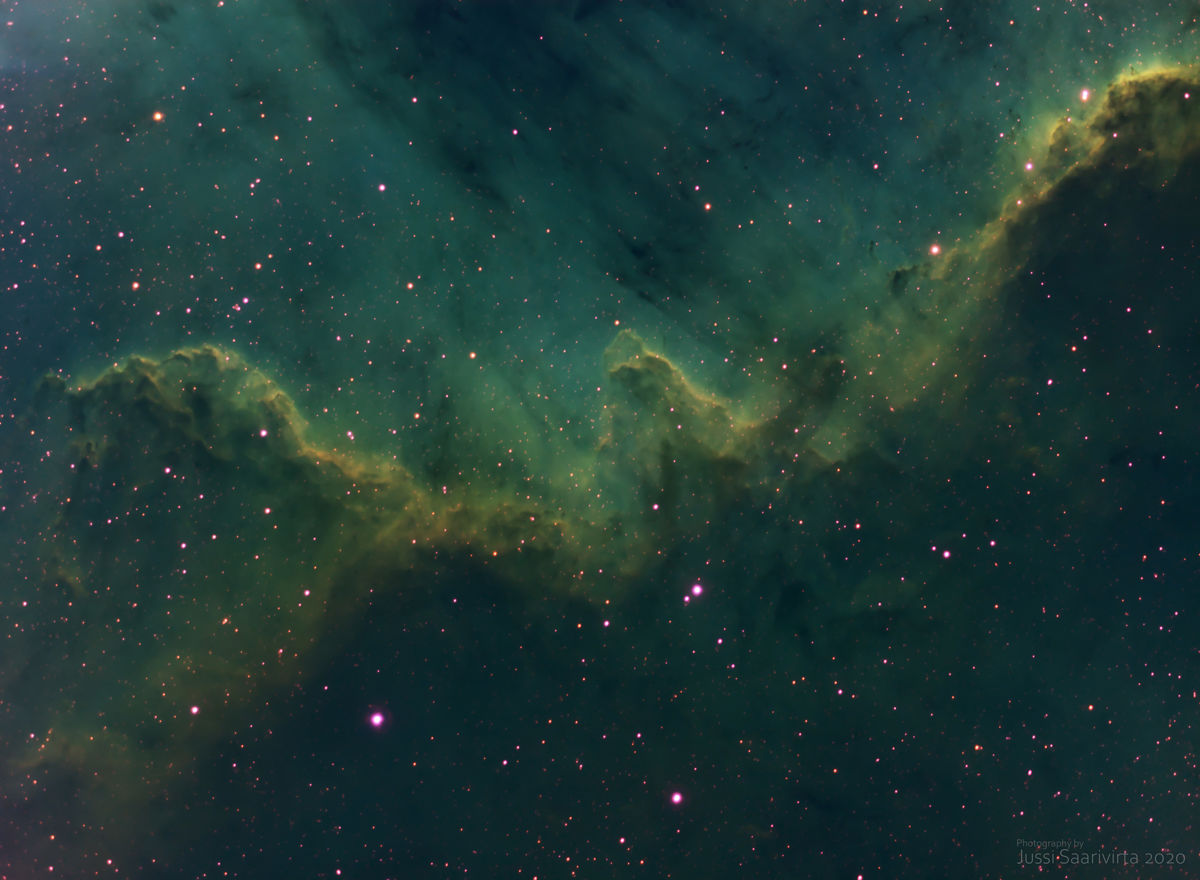 Submitted image